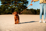 Luxury leather dog leads