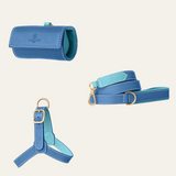 The perfect blue harness set for your furry friend