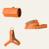 The perfect orange harness set for your furry friend