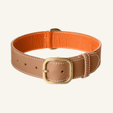 The perfect camel set for your furry friend