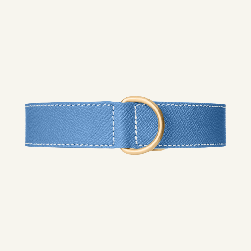 Blue Leather Collar