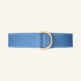 Blue Leather Collar