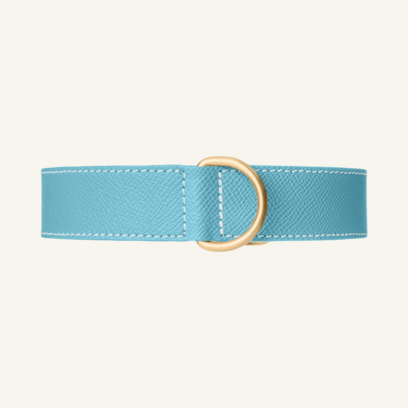 Light Blue Leather Collar