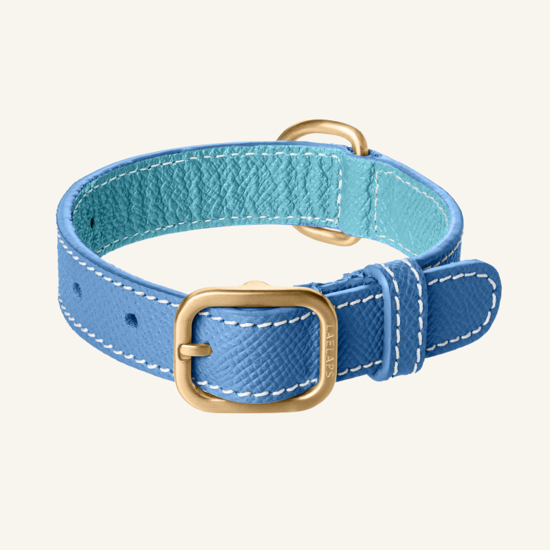 Blue Leather Collar