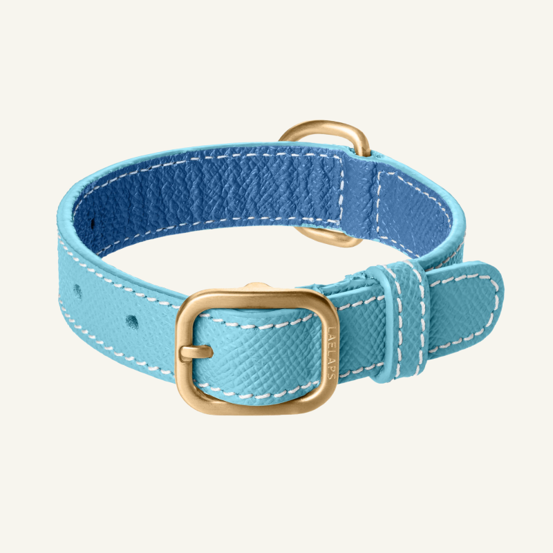 Light Blue Leather Collar