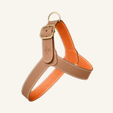 The perfect camel harness set for your furry friend
