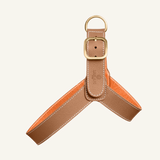 Camel Leather Harness
