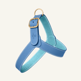 The perfect blue harness set for your furry friend