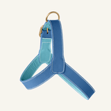 Blue Leather Harness