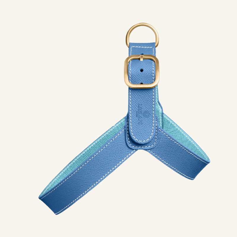 Blue Leather Harness