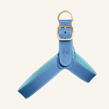 Blue Leather Harness