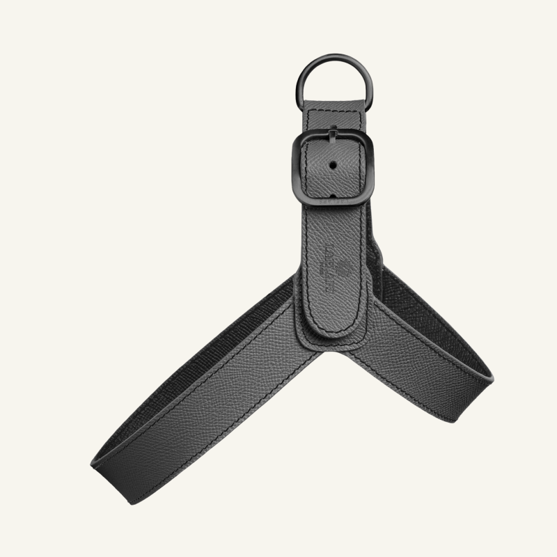 Graphite Leather Harness