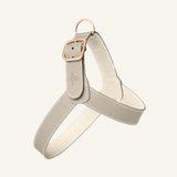 The perfect light grey harness set for your furry friend