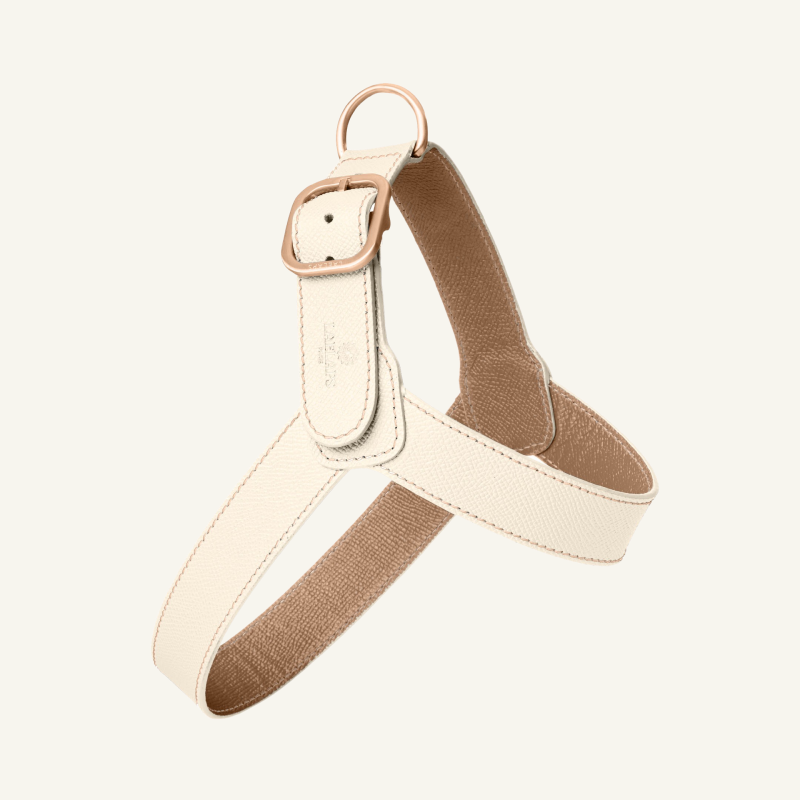 Off White Leather Harness