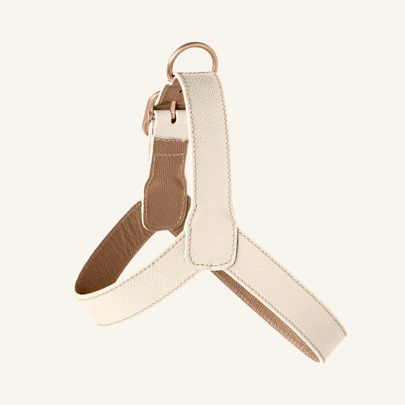 Off White Leather Harness