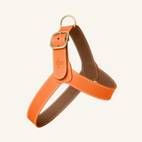 The perfect orange harness set for your furry friend