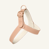 Powder Leather Harness