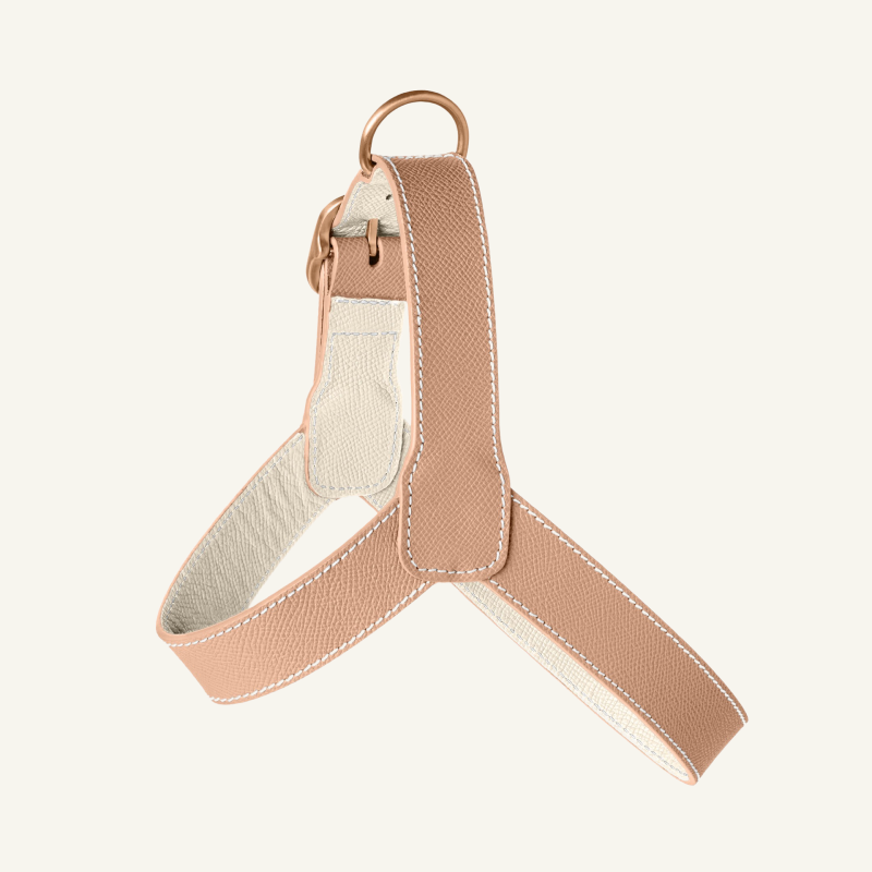 Powder Leather Harness