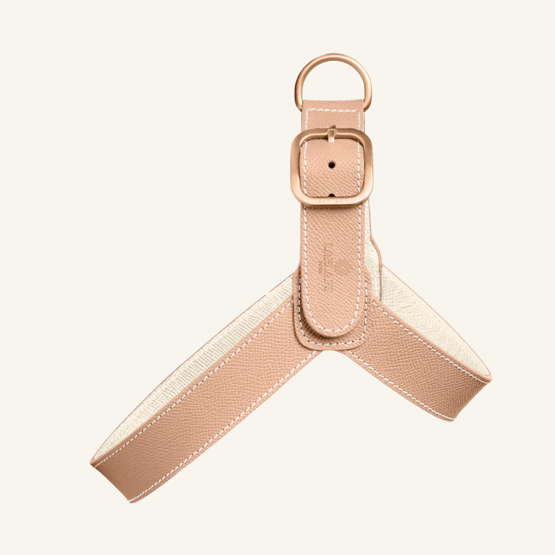 Powder Leather Harness