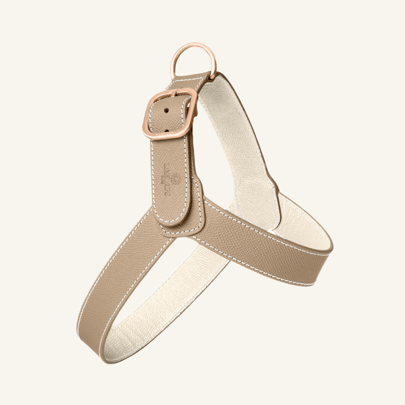 Taupe Leather Harness