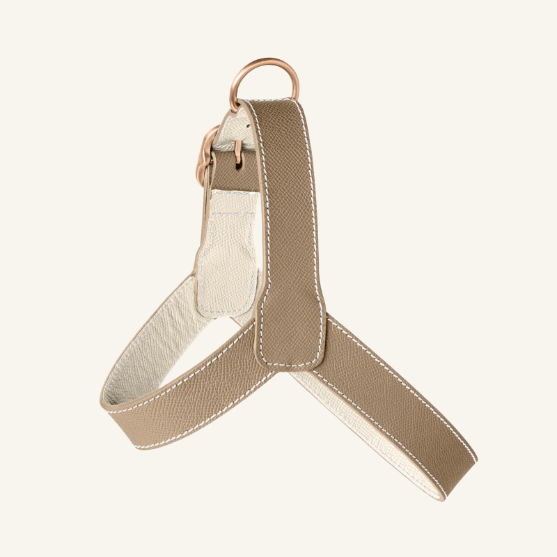 Taupe Leather Harness