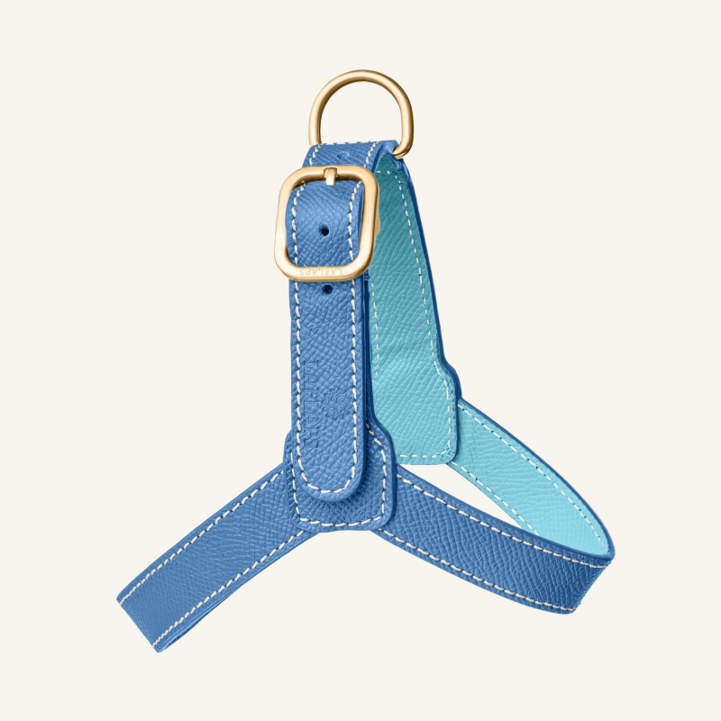 Blue Leather Harness