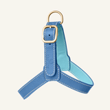 Blue Leather Harness