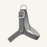 Grey Leather Harness