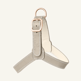 Light Grey Leather Harness