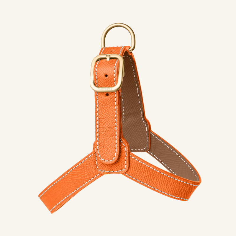 Orange Leather Harness