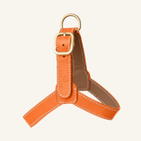 Orange Leather Harness