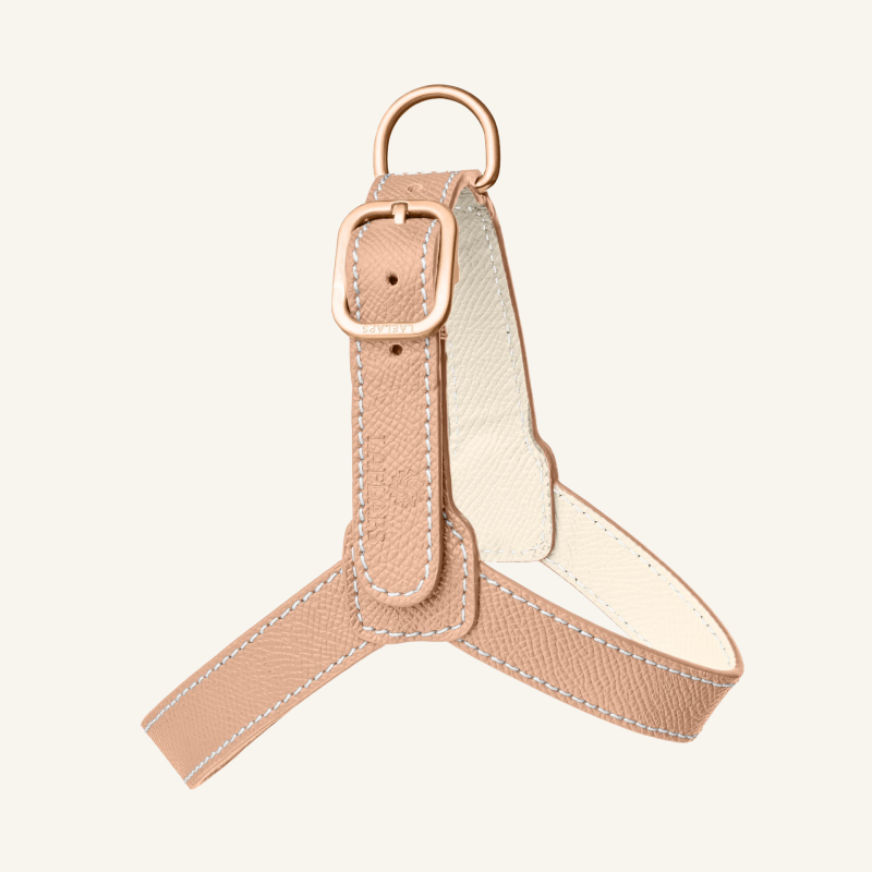 Powder Leather Harness
