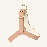 Powder Leather Harness