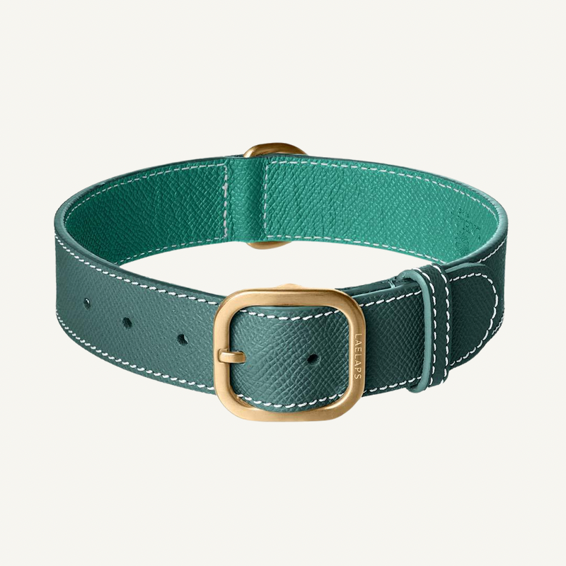 Green Leather Collar