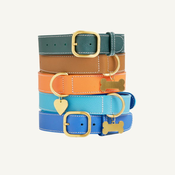 The perfect camel harness set for your furry friend