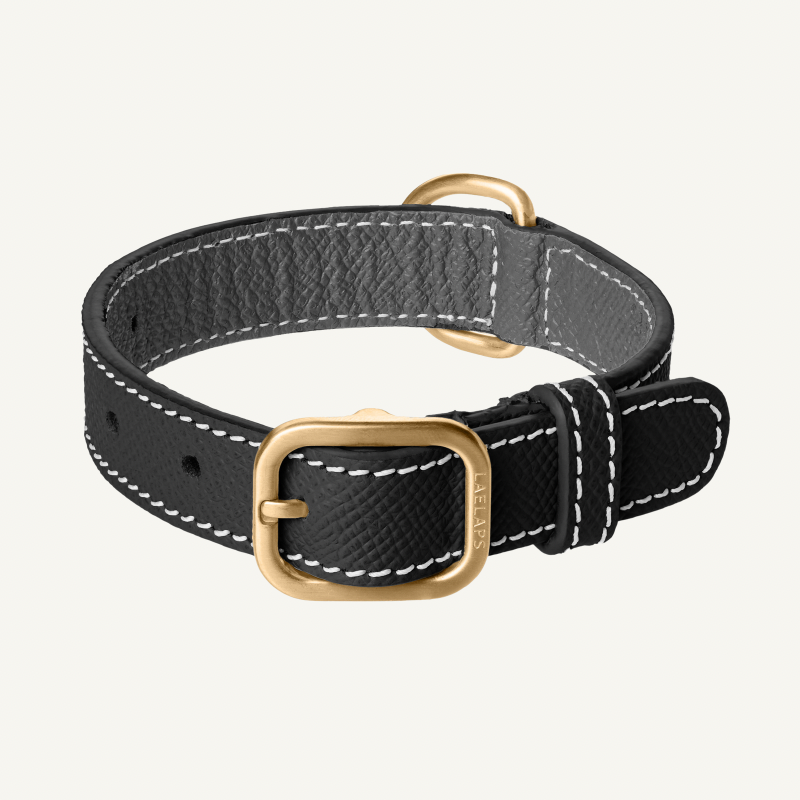 Black Leather Collar