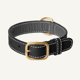 Black Leather Collar