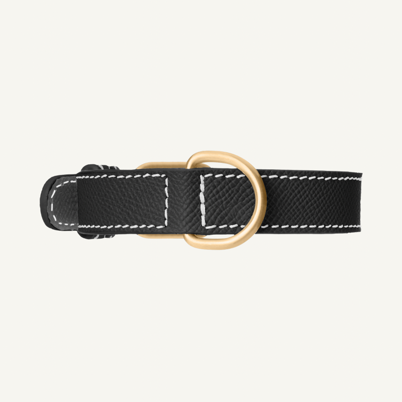 Black Leather Collar