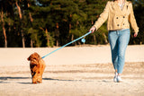 This Is What Your Dog's Body Language Tells You During Walks