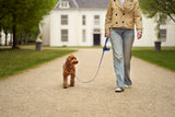 This Is What Your Dog's Body Language Tells You During Walks