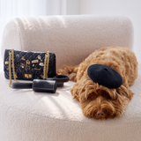 Parisian style for dogs – Why elegance never goes out of fashion