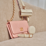 A Year in Elegance – Your seasonal guide to collars & leashes