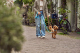 Blue leather dog accessories