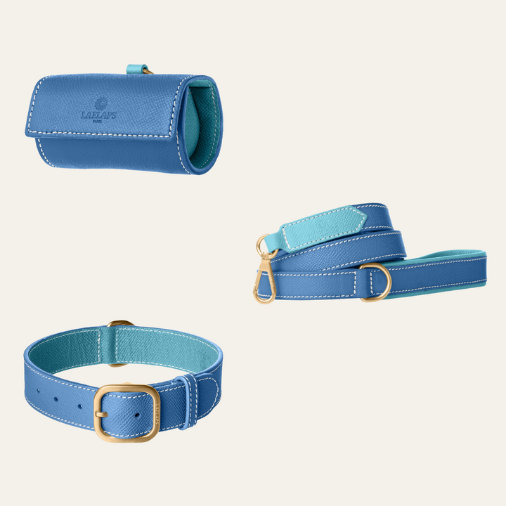 The perfect blue set for your furry friend