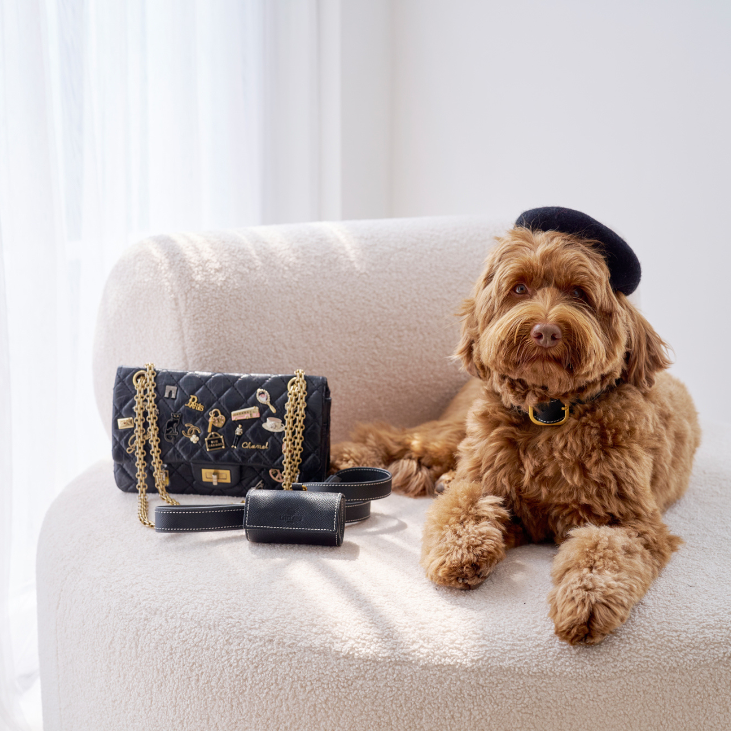 Black Leather Collar