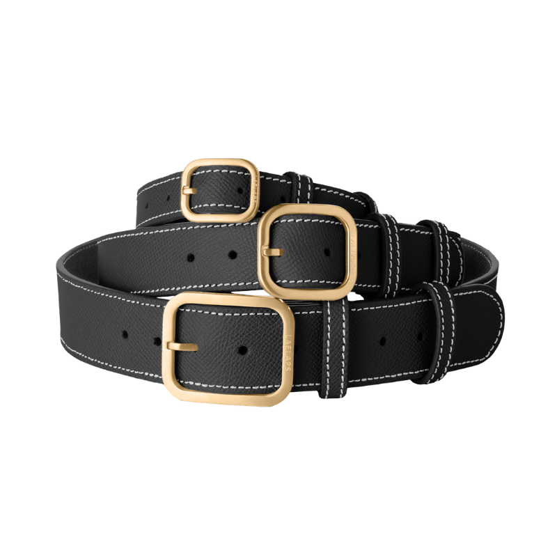 3 Laelaps Paris collars in black with gold hardware. 