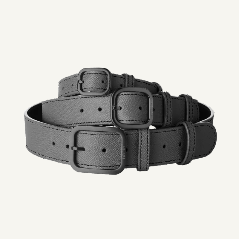 3 Laelaps Paris collars in graphite with metal gun hardware. 