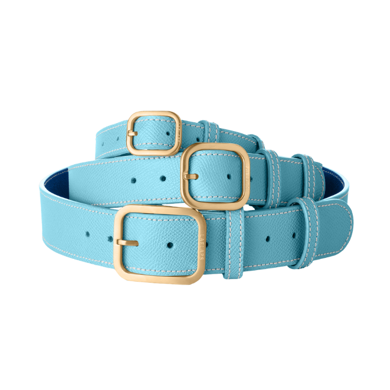 3 Laelaps Paris collars in light blue  with gold hardware. 
