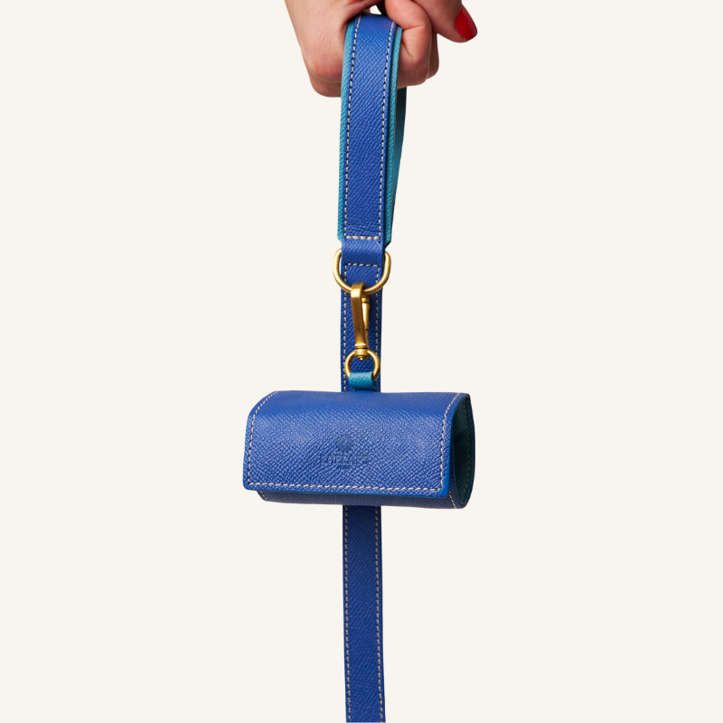 Blue Waste Bag Holder