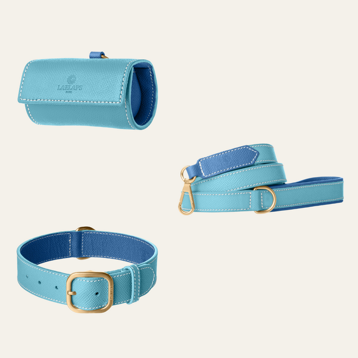 The perfect light blue set for your furry friend